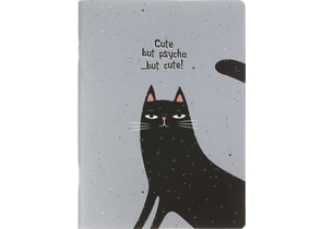 Тетрадь общая А5+, 48 л. на скобе BeSmart Silly, 160×220 мм, клетка, «Черный кот»