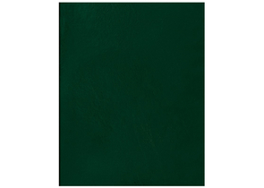 Тетрадь общая А4, 96 л. на скобе BG, 200×270 мм, клетка, зеленая