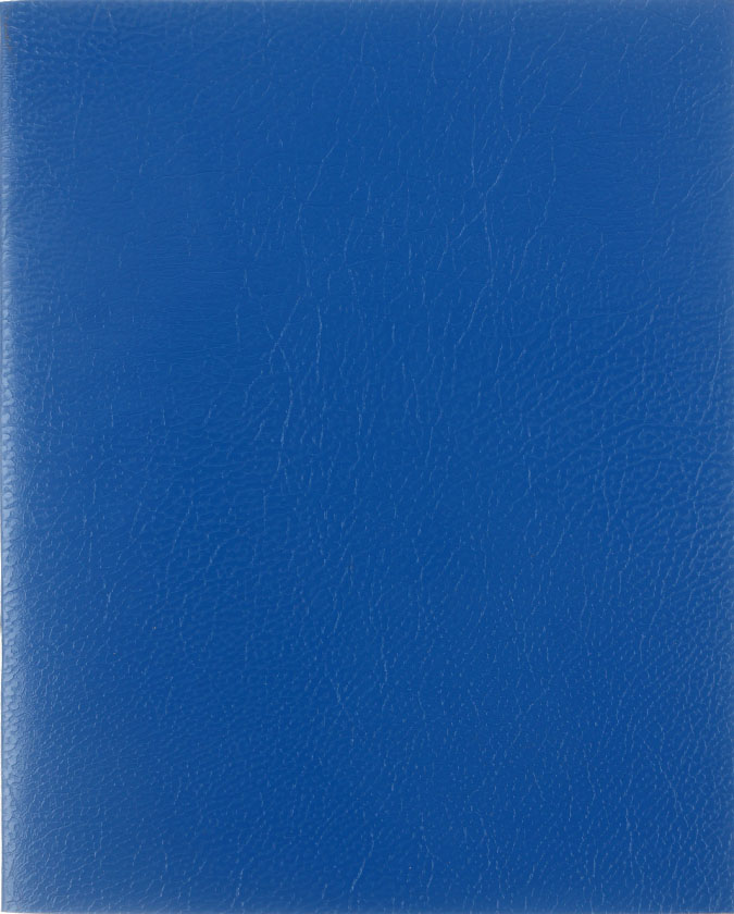 Тетрадь общая А5, 48 л. на скобе BG 162×202 мм, клетка, синяя