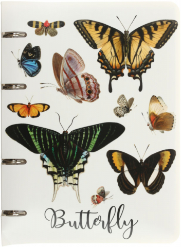 Тетрадь общая А5, 80 л. на кольцах «Полиграф Принт» 160×210 мм, клетка, Butterfly
